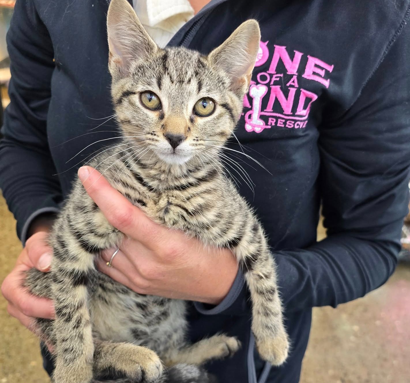 “The Forgotten Ones: Hungry, Lost, and Still Hoping”